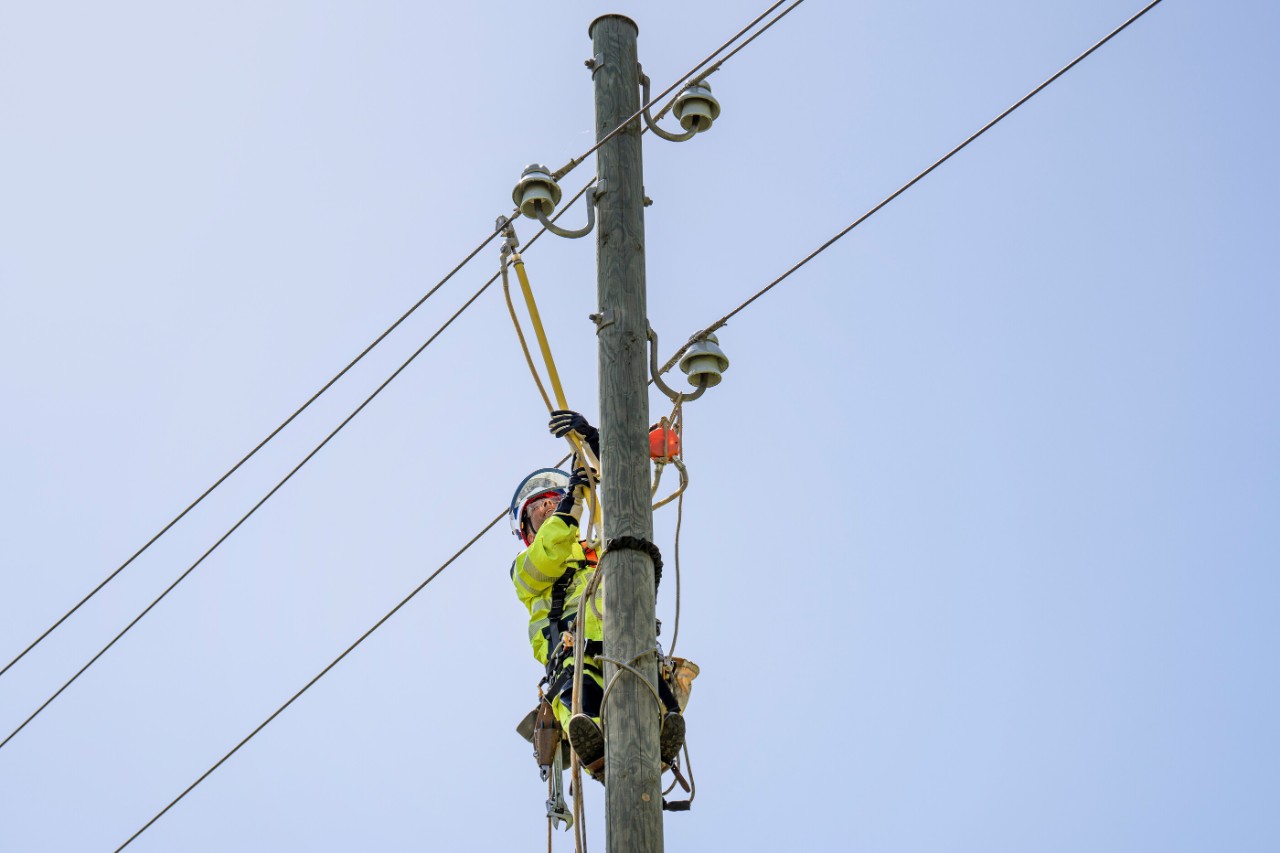 Nun wird die Erdungsgarnitur an den Drähten montiert.