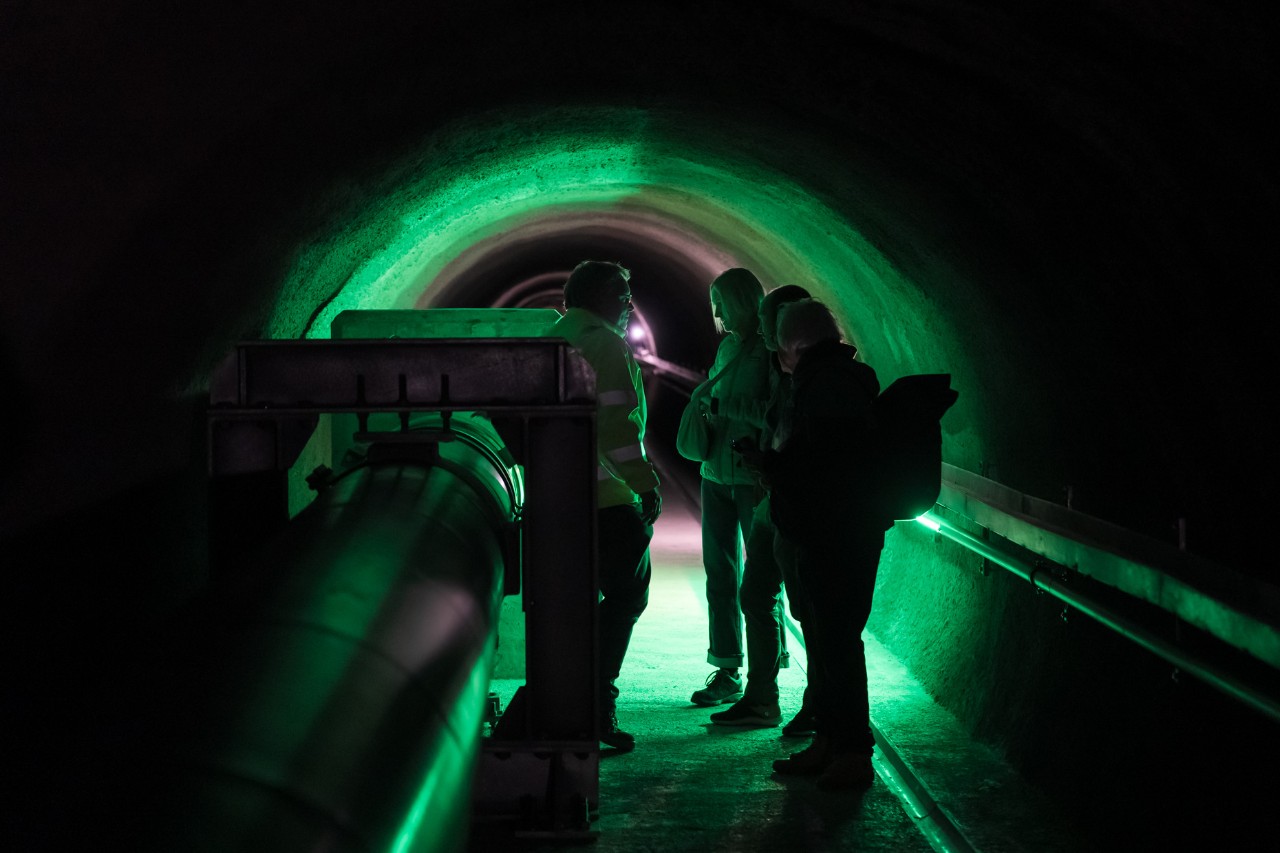 Das bunte Lichtspiel aus lila, grün, blau oder rot hellt den betongrauen Tunnel auf.