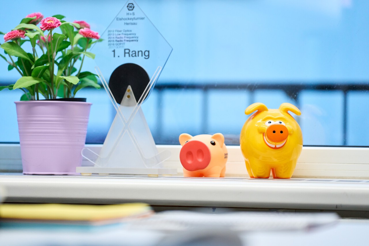 Für den digitalen Zwilling des Fernwärmenetzes haben Silvan Müller und sein Team den Digital-Award des Wirtschaftsmagazins Leader erhalten.