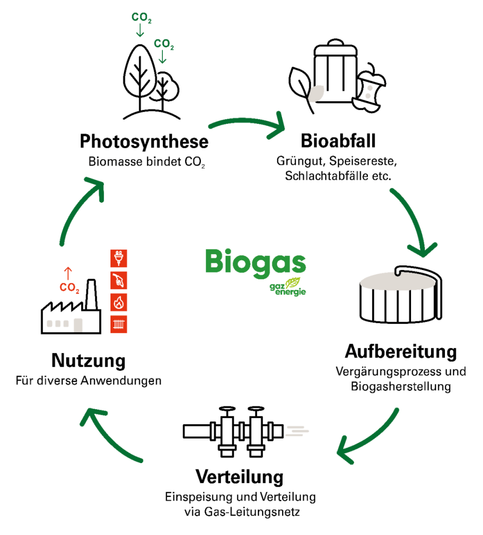 Durch die Verwertung von Bioabfall k&ouml;nnen Produktkreisl&auml;ufe geschlossen, wertvolle Ressourcen geschont und im Vergleich zur Neuproduktion Energiemengen eingespart werden.